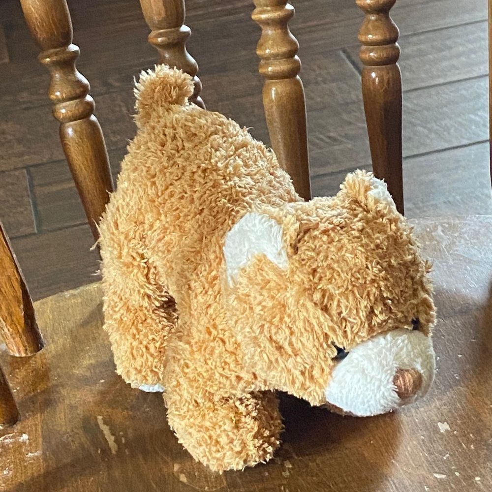 VTG, 10/$50 Cute Tan and White Plush Cat